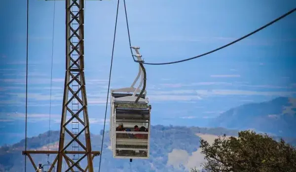 the tower of the city