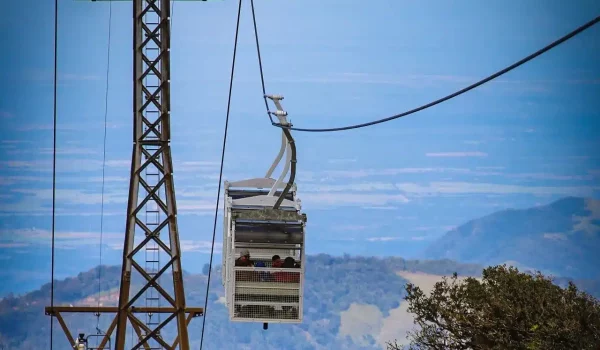 the tower of the city