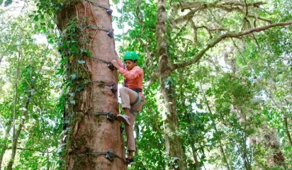 a person hanging from a tree