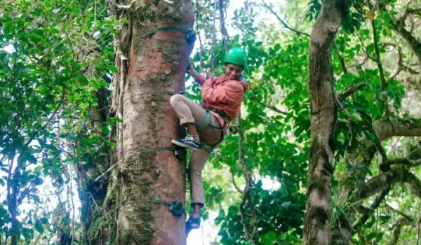A happy customer climbing a tree at Sky Adventures Monteverde