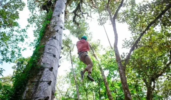 a man jumping in the air in front of a tree