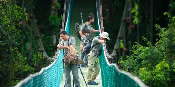 A group of tourists on the Monteverde Hanging Bridges at Sky Walk Monteverde
