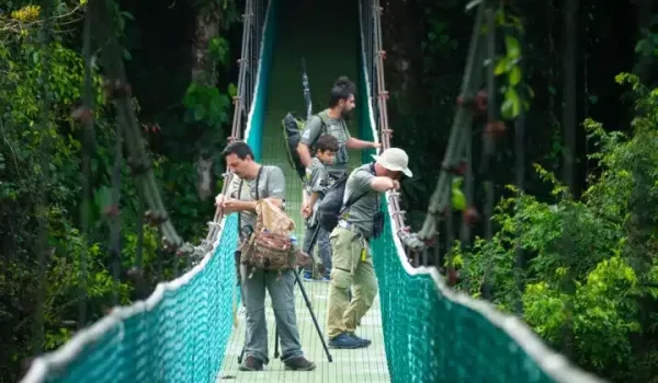 A group of tourists on the Monteverde Hanging Bridges at Sky Walk Monteverde