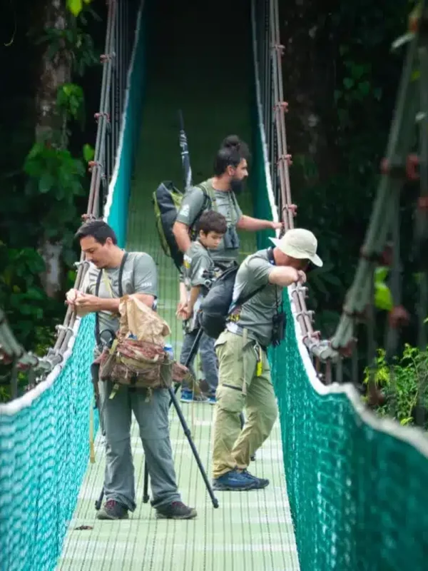A group of tourists on the Monteverde Hanging Bridges at Sky Walk Monteverde