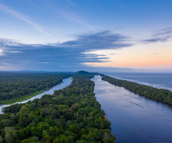 Tortuguero Main