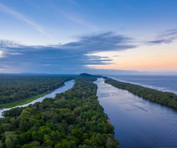 Tortuguero Main