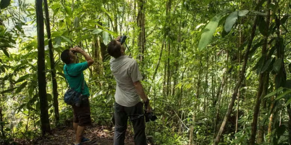 Tortuguero National park Trails 2