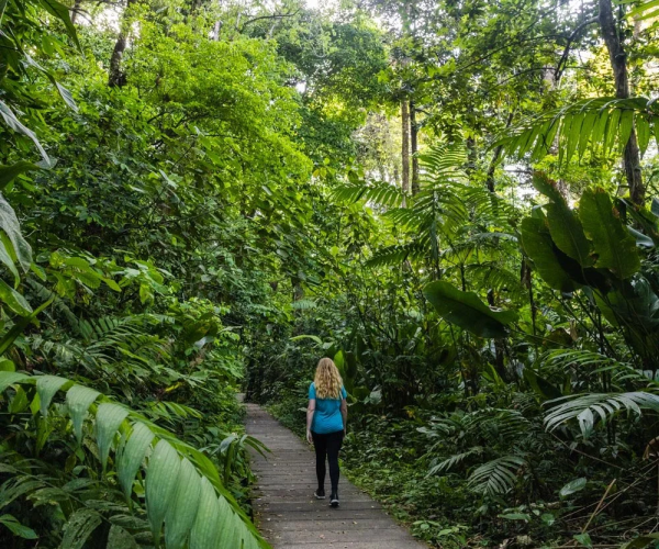 Tortuguero National park Trails