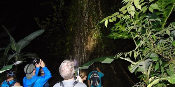 Tortuguero Night Tour 3
