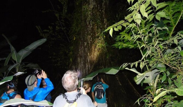Tortuguero Night Tour 3