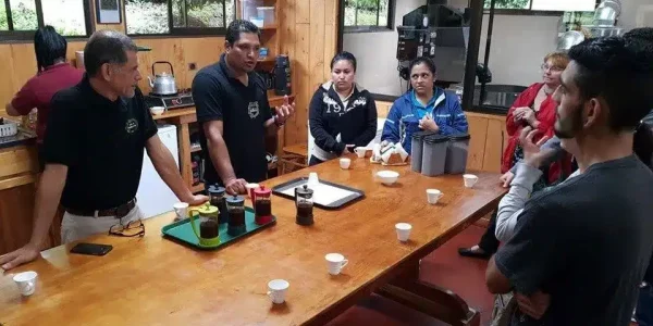Tour-de-Cafe-en-Monteverde