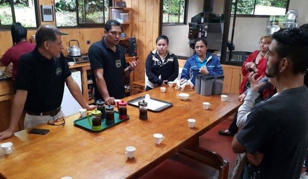 Cafe Monteverde Coffee Tour
