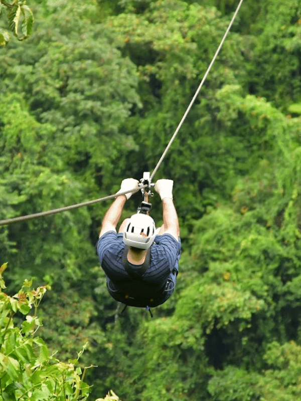 a person in a forest