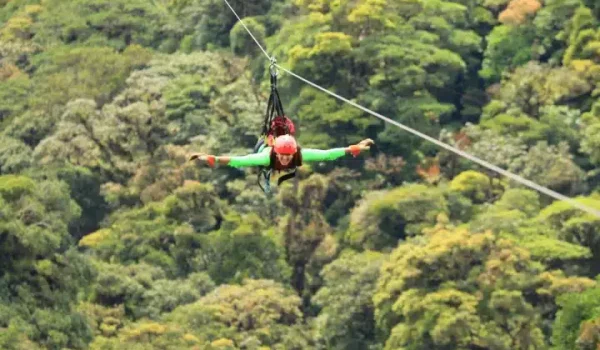 a group of people flying kites in a forest